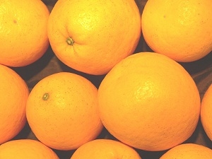 ジューシーオレンジの出荷がスタートしました！ ジューシーオレンジはそよ風のようにさわやか！ ジューシーオレンジ ギフト 
