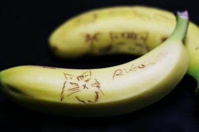 朝、手軽に食べられるバナナ バナナが朝の食卓に欠かせないわけ・・・ 朝 バナナ 