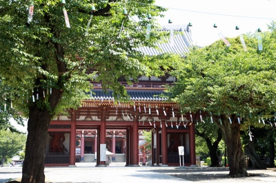 涼しい癒しを体感! 500個の風鈴の音 涼しい癒しを求めて~池上本門寺の風鈴イベント~ 涼しい 癒し 涼しい癒しを体感! 500個の風鈴の音 涼しい癒しを求めて~池上本門寺の風鈴イベント~ 涼しい 癒し